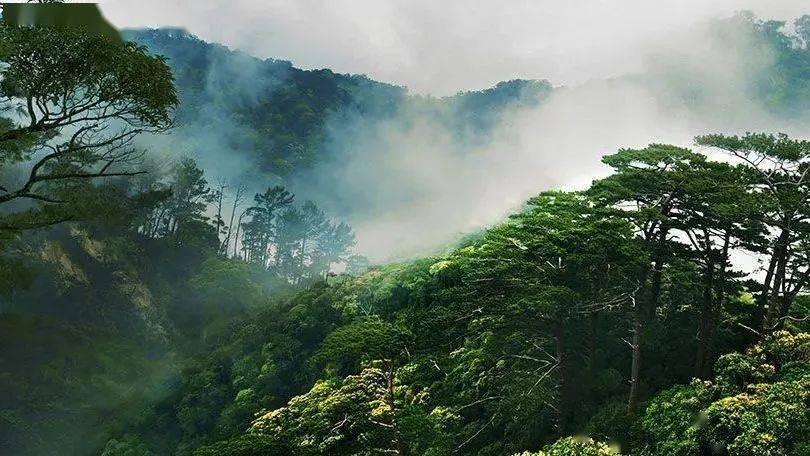 那英遭死磕，《歌手2024》再邀梁博？因风评待定！
